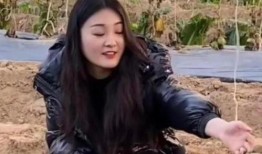 黄鑫邻居爆料视频大全最新,揭秘事件背后惊人真相