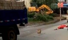 杞县于镇车祸最新爆料,悲剧现场细节披露，调查进展及伤亡情况揭晓