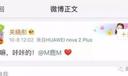 莎头cp知乎最新爆料,揭秘知乎最新爆料背后的甜蜜真相