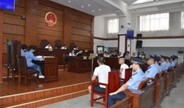 益阳今天爆料案件最新,最新案件细节曝光，真相令人震惊！”