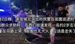 视频爆料技巧大全集最新,最新大全集精华解析