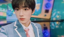 宋亚轩演唱会爆料最新视频