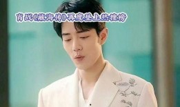 肖战张婧仪最新爆料,揭秘幕后故事与精彩瞬间