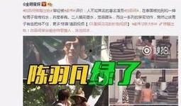 吴皮村最新爆料新闻视频,揭秘村庄背后惊人真相！