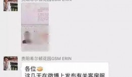 四平希尔顿爆料事件最新,揭秘幕后真相与公众舆论风暴